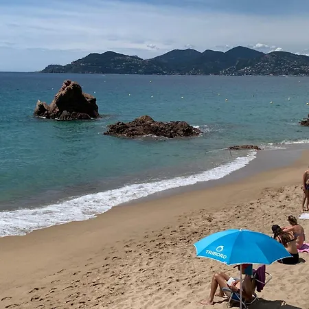 Le Palm Azur - Vue Mer Sur Les Iles De Lerins